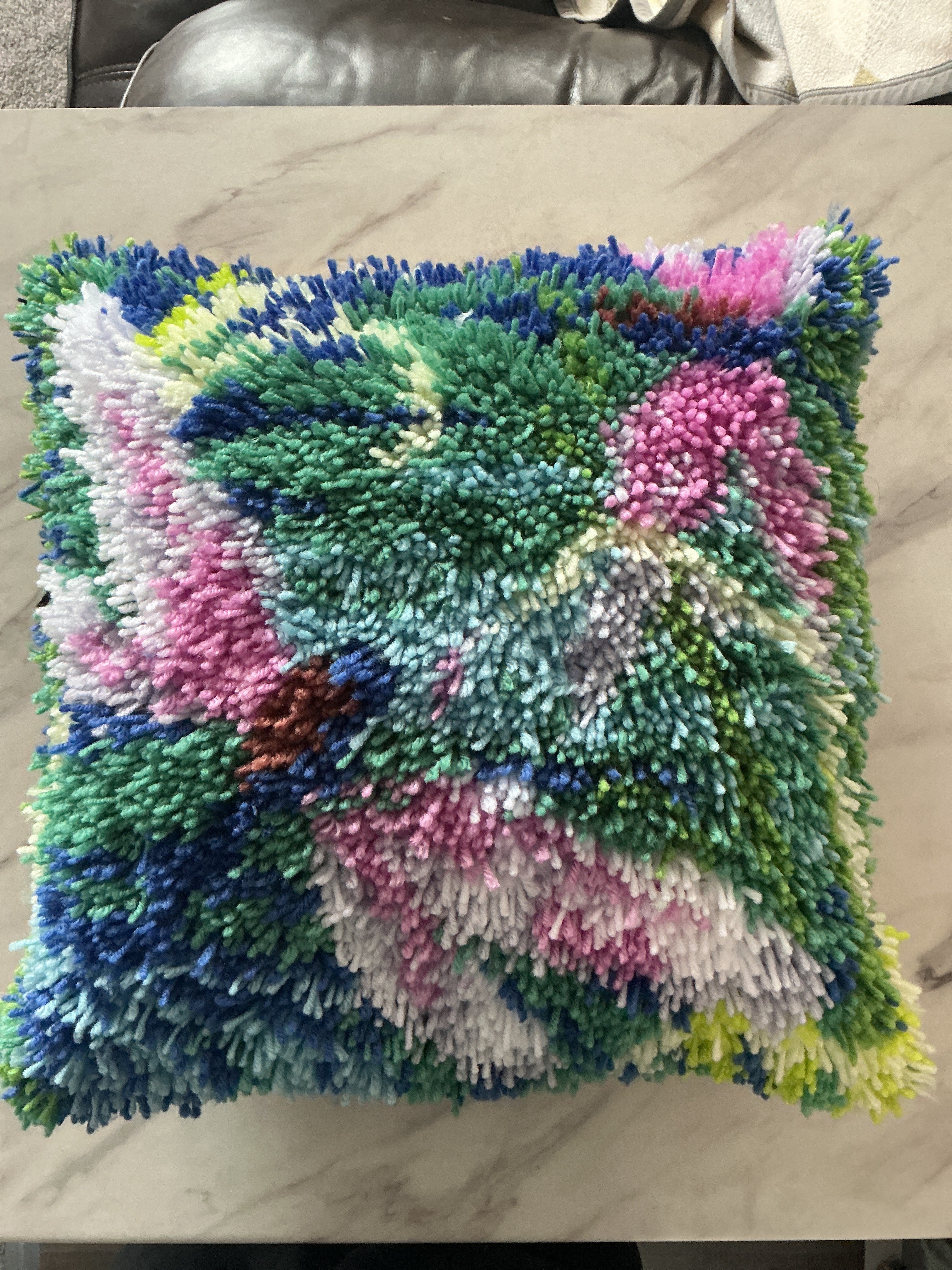 Dragon fly cushion