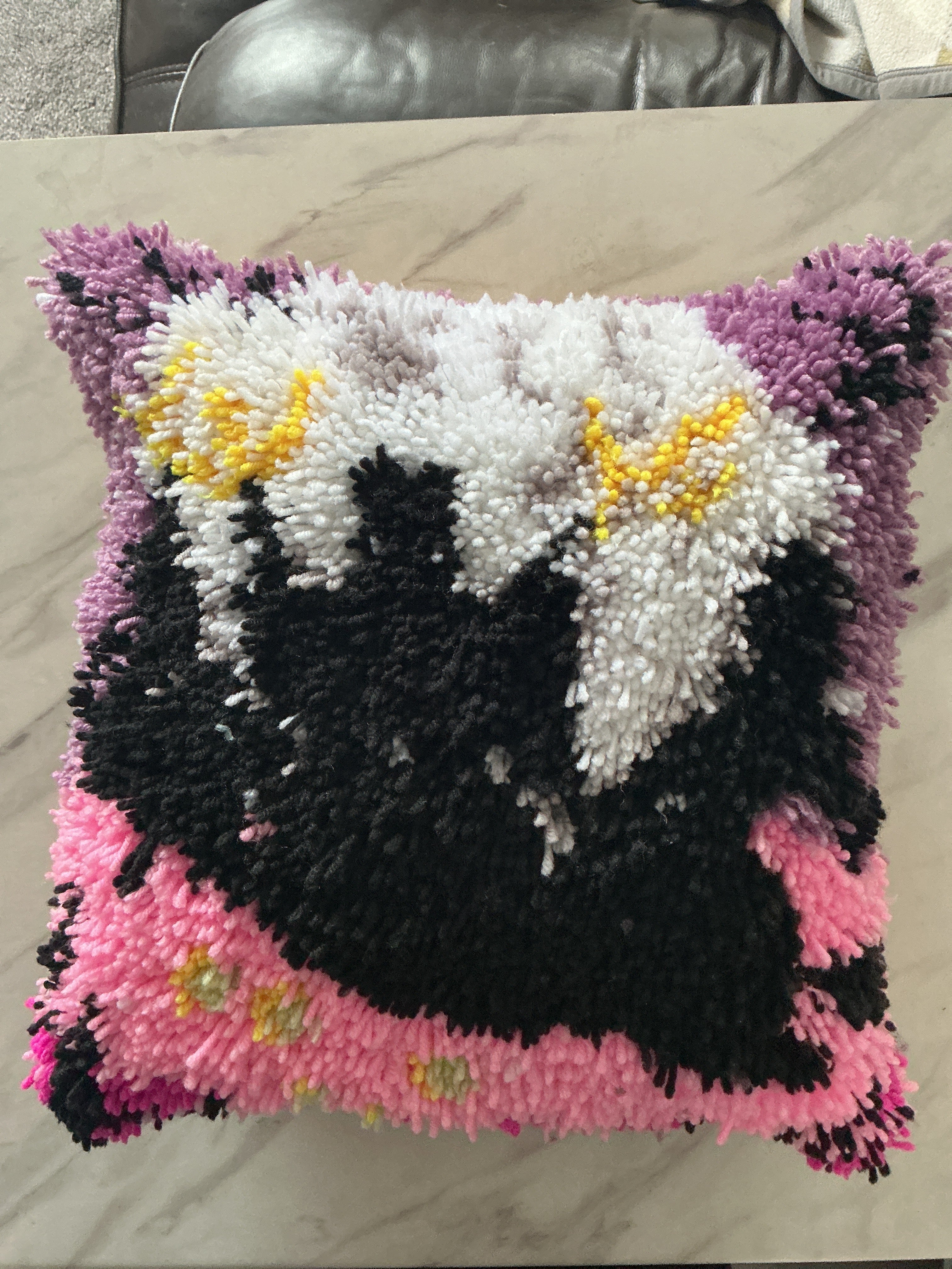 Witches cushion