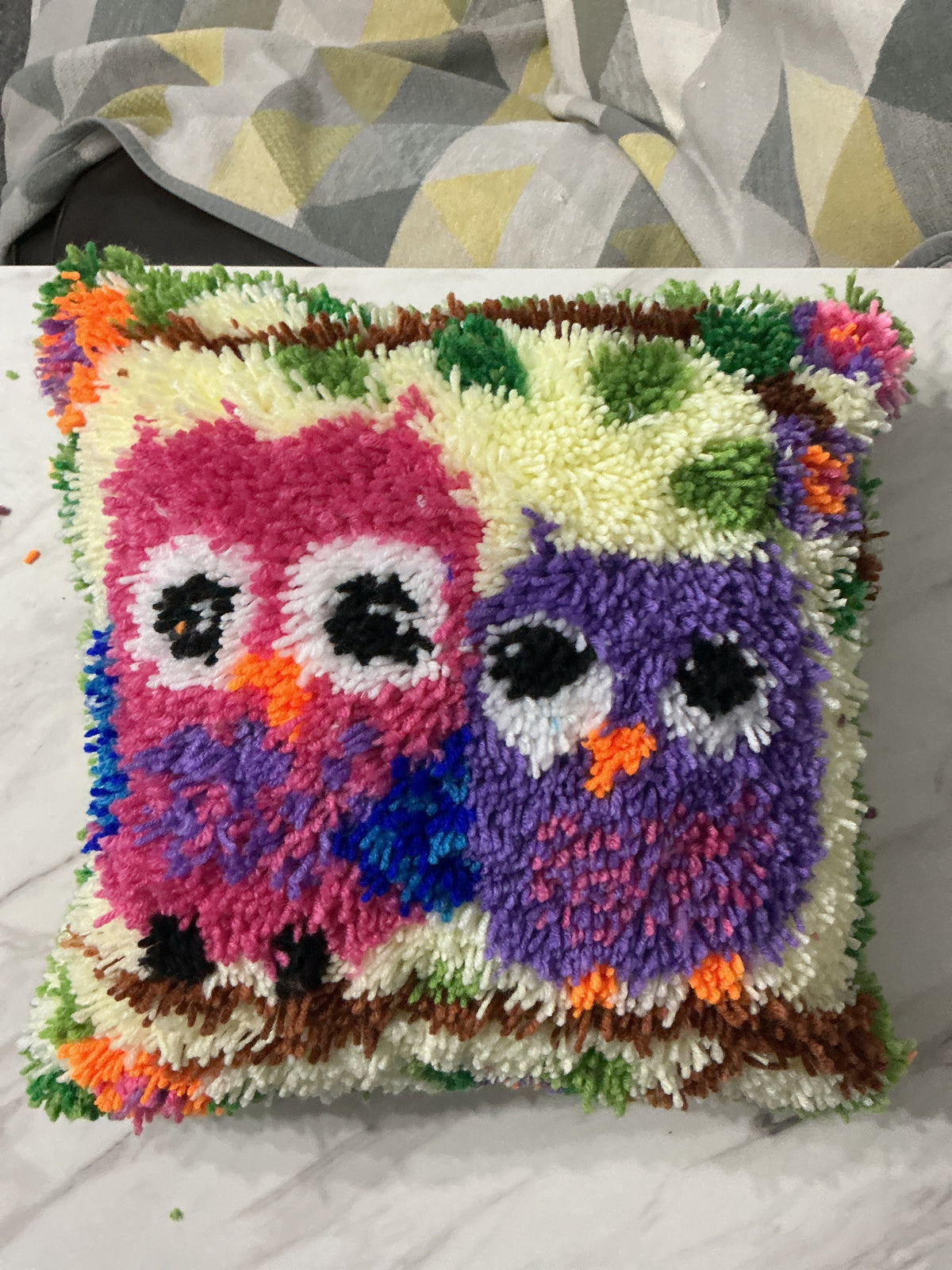 Learning with owls cushion